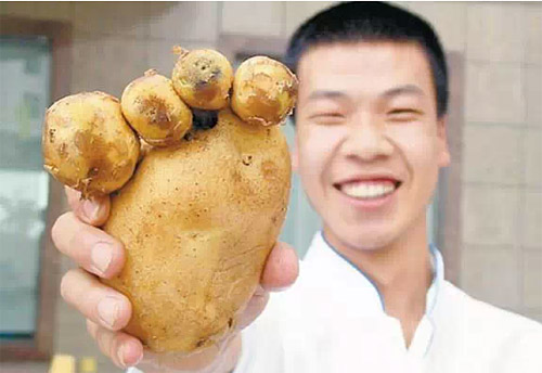 熊掌土豆，大補(bǔ)啊！
