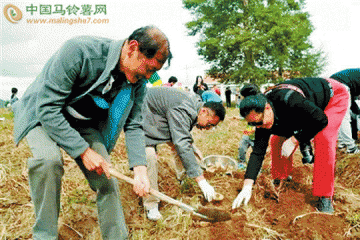 “歡樂土豆節(jié)” 土豆新玩法 ()