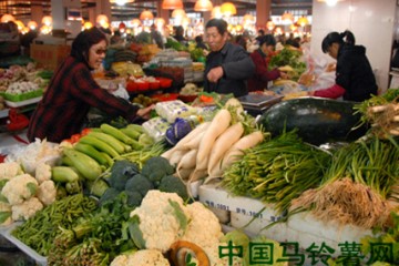 東營：冷空氣和霧霾助力推高菜價(jià) ()