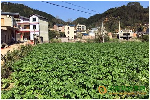 未標(biāo)題-1