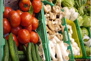 鄭州：節(jié)后大部分蔬菜價格降幅明顯 ()