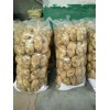 大量供應(yīng)滕州荷蘭土豆，質(zhì)優(yōu)價(jià)廉