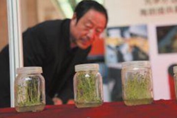 山西省嵐縣土豆薯博會(huì)上獨(dú)領(lǐng)風(fēng)騷 ()