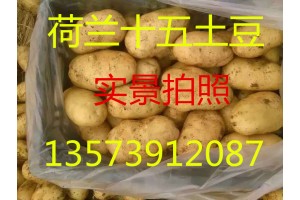 山東土豆產(chǎn)地哪里土豆價(jià)格便宜
