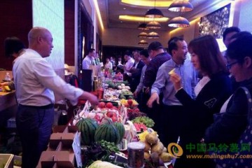 上海市：規(guī)?；庋邮卟嘶卦诙嗍〗?()