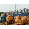 滕州豐榮農(nóng)業(yè)大量供應(yīng)荷蘭十五