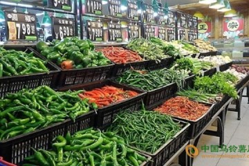江西?。壕旁麻_學季 菜價穩(wěn)中有漲 ()