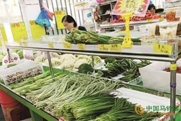 湖北武漢：蔬菜供給減緩 菜價漲進4元區(qū) ()