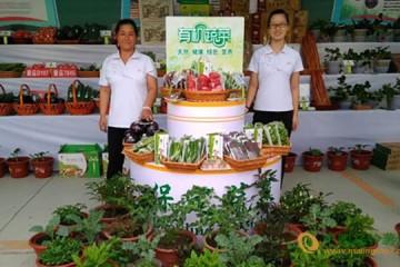 京津冀蔬菜產(chǎn)銷對接 助農(nóng)增收 ()