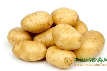 我國土豆單季畝產(chǎn)量破世界紀錄 ()