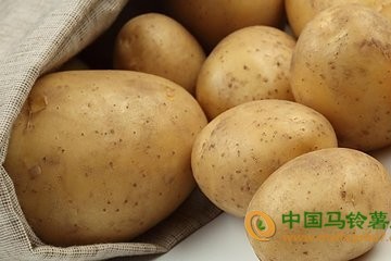 張家口：多種蔬菜價格回落 ()