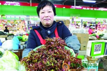 青島：多種野菜搶“鮮”上市 ()