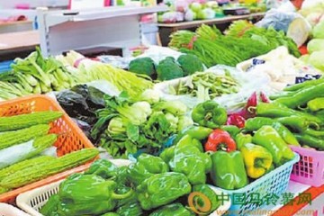 大連：菜價持續(xù)回落 ()