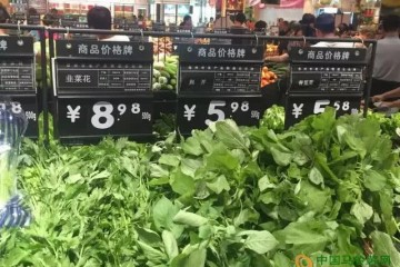 鄭州：蔬菜價(jià)格止升反降 ()