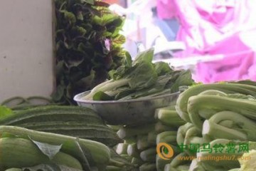 陽江市：降雨致菜價上漲 ()