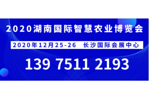 2020湖南長沙智慧交流會