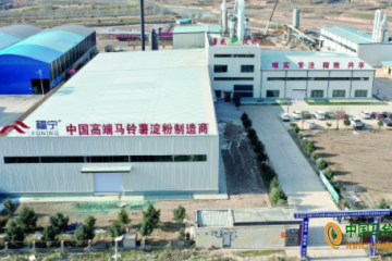 西吉：兩萬噸馬鈴薯大顆粒淀粉提質增效項目投產 ()
