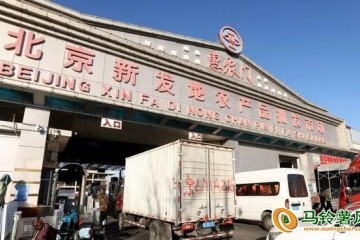 新發(fā)地：蔬菜價格周環(huán)比小幅上漲 ()
