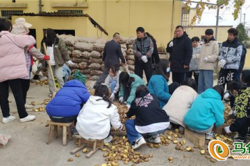 清鎮(zhèn)市：開(kāi)展馬鈴薯播種工作 ()